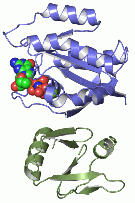 Image Asym./Biol. Unit - manually