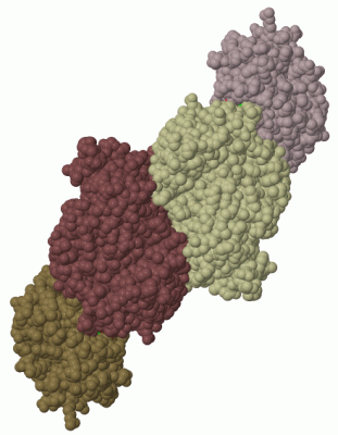 Image Biol.Unit 1 - manually