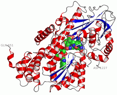 Image Asym./Biol. Unit - manually