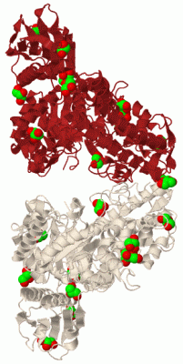 Image Biol.Unit 1 - manually