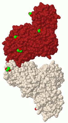 Image Biol.Unit 1 - manually