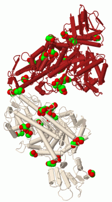 Image Biol.Unit 1 - manually