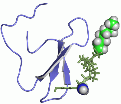 Image NMR Structure - manually