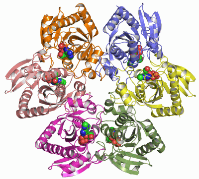 Image Asym./Biol. Unit - manually