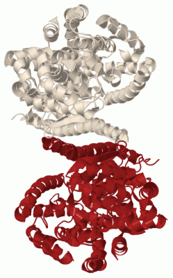 Image Biol.Unit 1 - manually