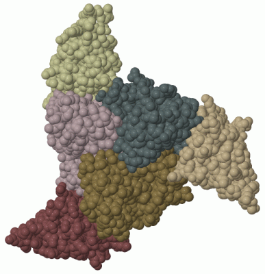 Image Biol.Unit 1 - manually