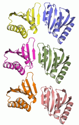 Image Asym.Unit - manually