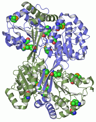 Image Asym./Biol. Unit - manually