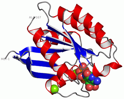 Image Asym./Biol. Unit - manually