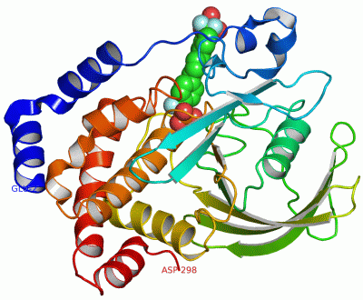 Image Asym./Biol. Unit - manually