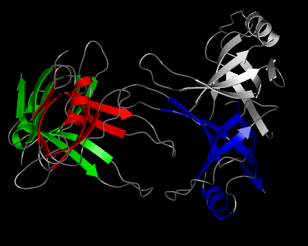 Image Asym./Biol. Unit - manually