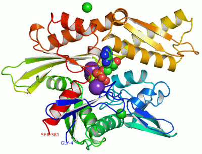 Image Asym./Biol. Unit - manually