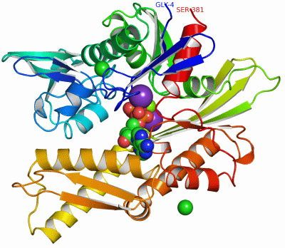 Image Asym./Biol. Unit - manually