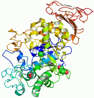 Image Asym./Biol. Unit - manually