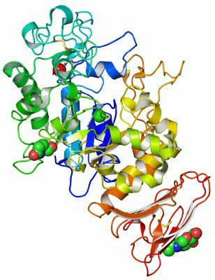 Image Asym./Biol. Unit - manually