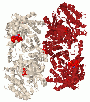 Image Biol.Unit 1 - manually