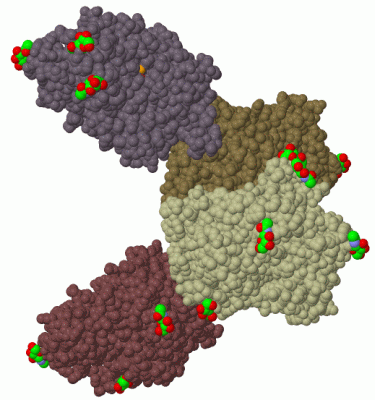 Image Biol.Unit 1 - manually