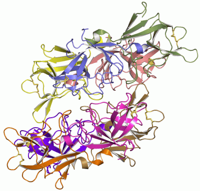 Image Asym.Unit - manually