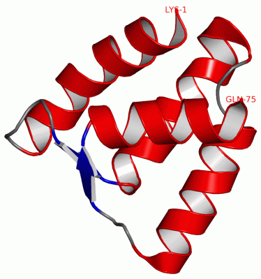 Image NMR Structure - manually