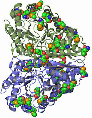 Image Asym./Biol. Unit - manually