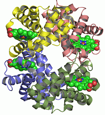 Image Asym./Biol. Unit - manually