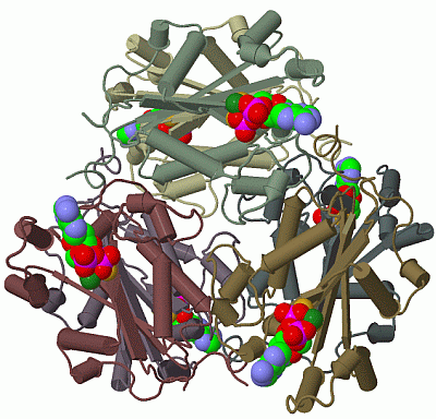 Image Biol.Unit 1 - manually