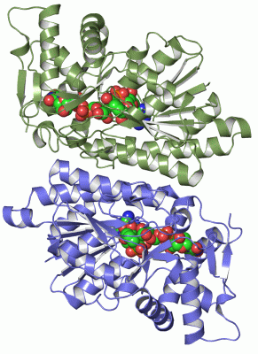 Image Asym./Biol. Unit - manually