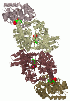 Image Biol.Unit 1 - manually