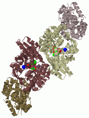 Image Biol.Unit 1 - manually