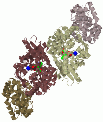 Image Biol.Unit 1 - manually