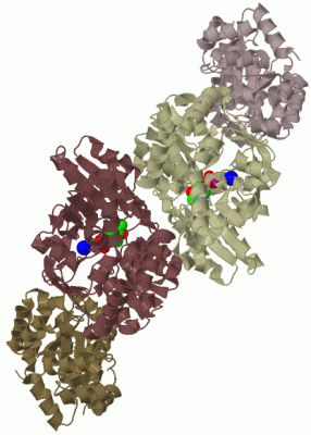 Image Biol.Unit 1 - manually