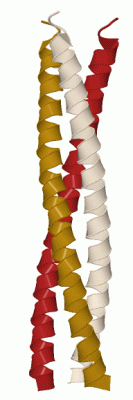 Image Biol.Unit 1 - manually