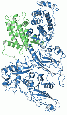 Image Asym./Biol. Unit - manually