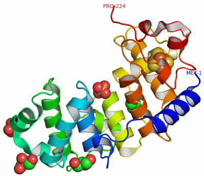 Image Asym./Biol. Unit - manually