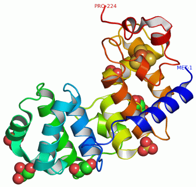 Image Asym./Biol. Unit - manually