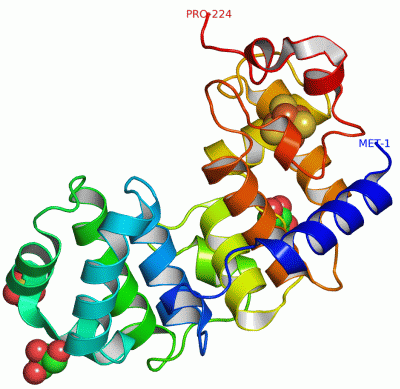 Image Asym./Biol. Unit - manually