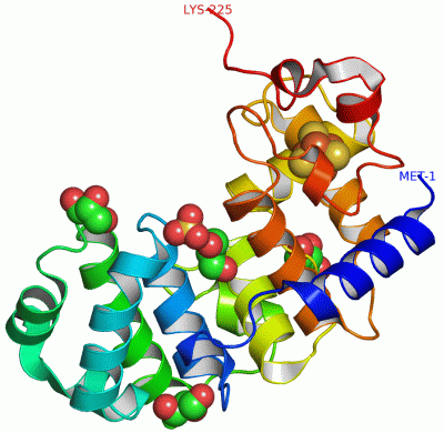 Image Asym./Biol. Unit - manually