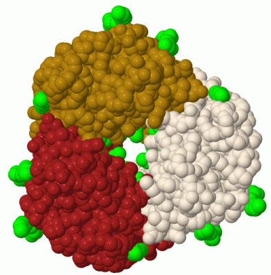 Image Biol.Unit 1 - manually