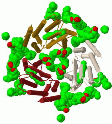 Image Biol.Unit 1 - manually