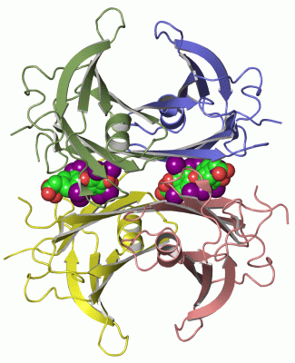 Image Asym./Biol. Unit - manually