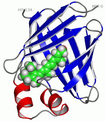 Image NMR Structure - manually