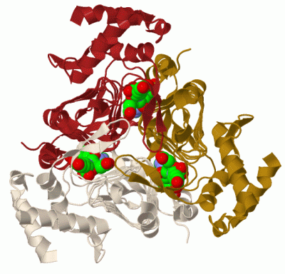 Image Biol.Unit 1 - manually