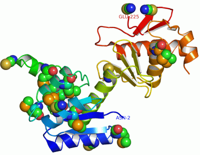 Image Asym./Biol. Unit - manually