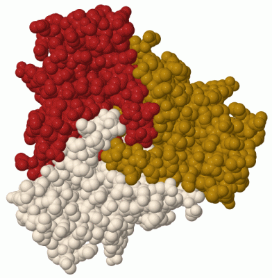 Image Biol.Unit 1 - manually