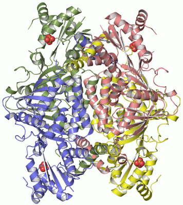 Image Asym./Biol. Unit - manually