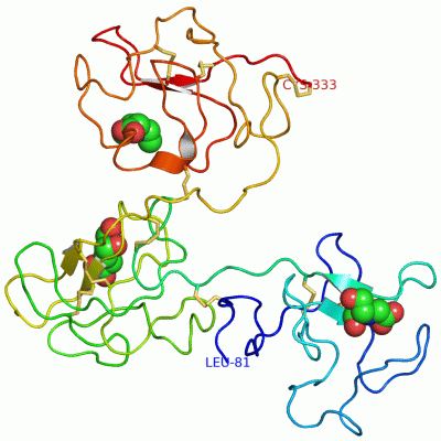 Image Asym./Biol. Unit - manually