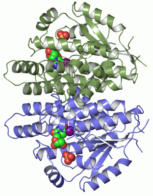 Image Asym./Biol. Unit - manually