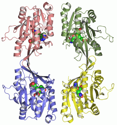 Image Asym./Biol. Unit - manually