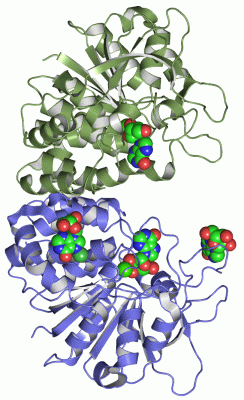 Image Asym./Biol. Unit - manually