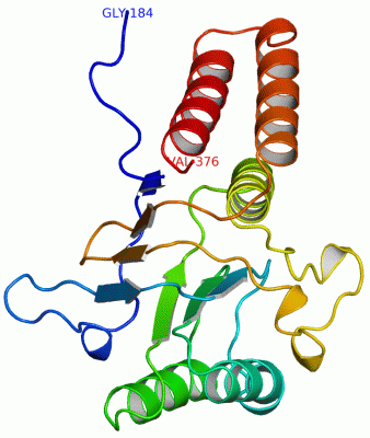 Image Asym./Biol. Unit - manually